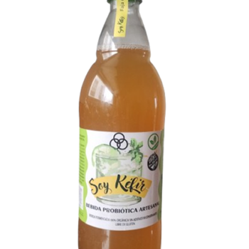 Sabor Jengibre (Pack x 6u) Botellas 1litro