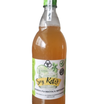 Sabores Surtidos (Pack x 6u) Botellas 1litro