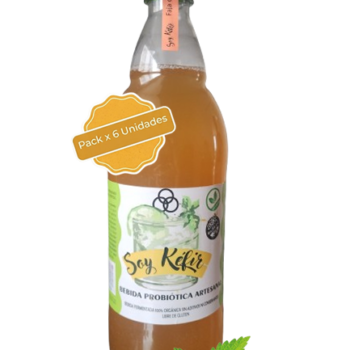Sabor Menta-Limón (Pack x 6u) Botellas 1litro (copia)