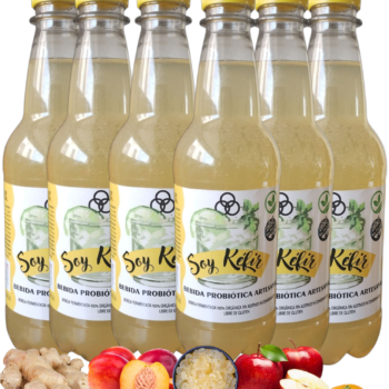 Sabores Surtidos (Pack x 6u) Botellas 500 cc.