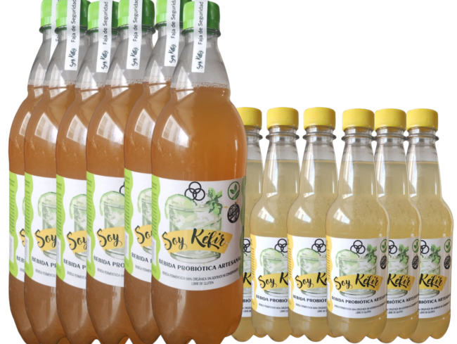 PROMO Combo Familiar y Escolar. 1 pack de litro + 1 pack de 500 cc