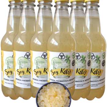 Sabor Original (Pack x 6u) Botellas 500 cc.