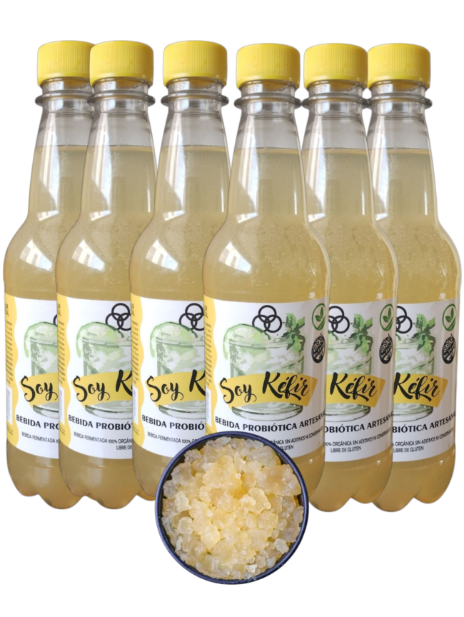 Sabor Original (Pack x 6u) Botellas 500 cc.
