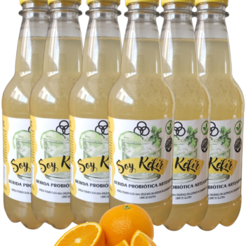 Sabor Naranja (Pack x 6u) Botellas 500 cc.