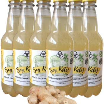 Sabor Jengibre (Pack x 6u) Botellas 500 cc.