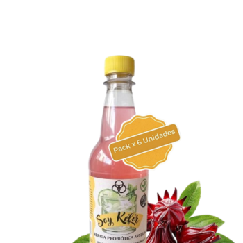 Sabor Hibiscus (Pack x 6u) Botellas 500 cc.